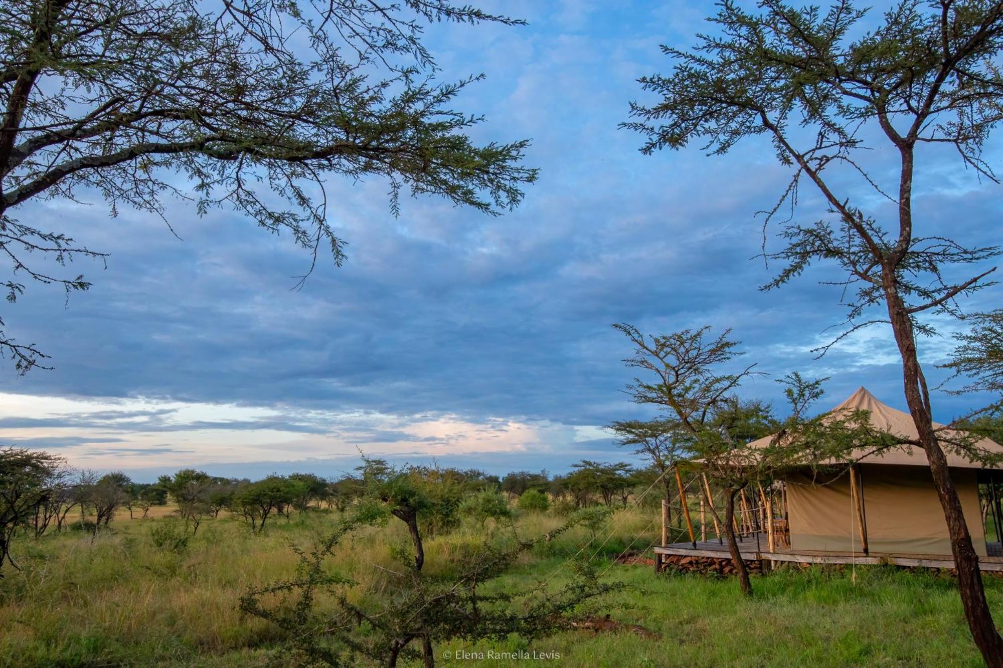 Serengeti Kifaru Tented Lodge Mugumu Extérieur photo